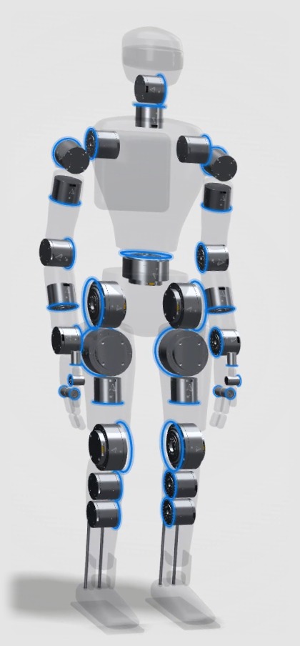 Humanoid concept with its shell made see-through, showing the Silica actuator at each joint